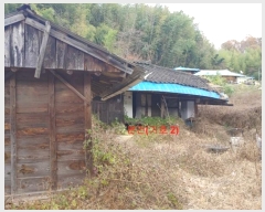  2024Ÿ��1178  ���ð��