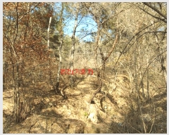  2024Ÿ1291 泲 õ   849      ()