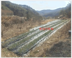  2024Ÿ1291 泲 õ   849      ()