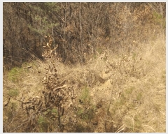  2024Ÿ1291 泲 õ   849      ()