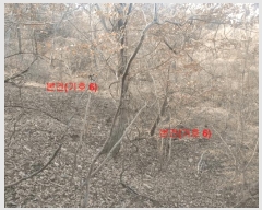  2024Ÿ1291 泲 õ   849      ()