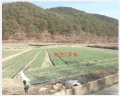  2024Ÿ1291 泲 õ   849      ()