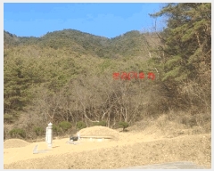  2024Ÿ1291 泲 õ   849      ()