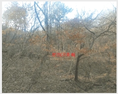  2024Ÿ1291 泲 õ   849      ()