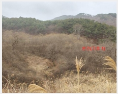  2024Ÿ10271 泲 Ծ籺   1417      ()