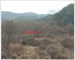  2024Ÿ10271 泲 Ծ籺   1417      ()