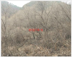  2024Ÿ10271 泲 Ծ籺   1417      ()