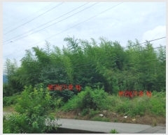  2024Ÿ11298 泲 â ֻ ű⸮ 544      ()