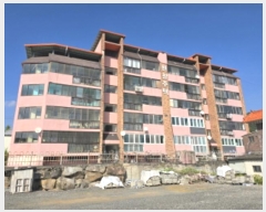  2024Ÿ11977 泲 õ ʰ ʰ3 4, 5502ȣ     Ʈ