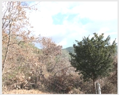  2024Ÿ12437 泲 õ õ ݾ縮 707      (1)