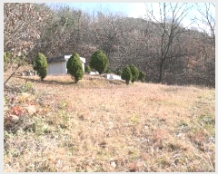  2024Ÿ12437 泲 õ õ ݾ縮 707      (1)