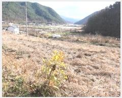  2024Ÿ12437 泲 õ õ ݾ縮 707      (1)