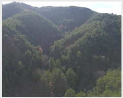  2024Ÿ12437 泲 õ õ ݾ縮 707      (1)