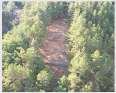  2024Ÿ12437 泲 õ õ ݾ縮 707      (1)