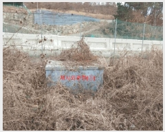  2024Ÿ��12451  �����