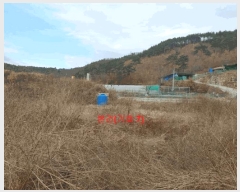  2024Ÿ12451 泲 õ å  359-3      ()