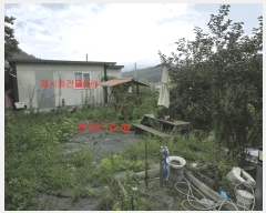  2024Ÿ12451 泲 õ å  359-3      ()