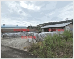  2024Ÿ12451 泲 õ å  359-3      ()