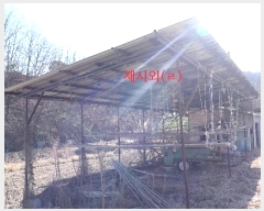  2024Ÿ��12499  �����