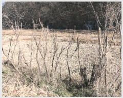  2024Ÿ��12499  �����