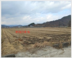  2024Ÿ��12536  ����