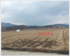  2024Ÿ��12536  ����