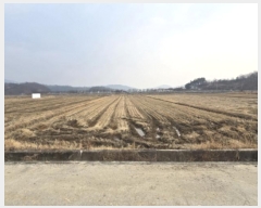  2024Ÿ��12536  ����