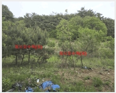  2024Ÿ12598 泲 â â ȸ 1025-1      (1)