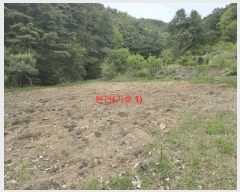  2024Ÿ12598 泲 â â ȸ 1025-1      (1)