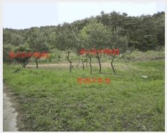  2024Ÿ12598 泲 â â ȸ 1025-1      (1)