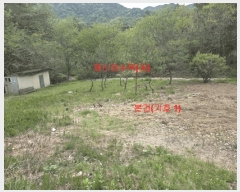  2024Ÿ12598 泲 â â ȸ 1025-1      (1)