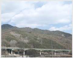  2024Ÿ��120 �泲 �Ծ籺 ���ϸ� �۰踮 ��141      ����(�Ӿ�)���