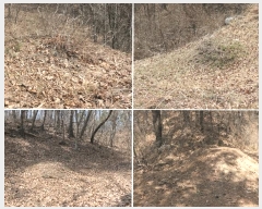  2024Ÿ��120 �泲 �Ծ籺 ���ϸ� �۰踮 ��141      ����(�Ӿ�)���