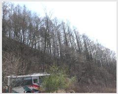  2024Ÿ��120 �泲 �Ծ籺 ���ϸ� �۰踮 ��141      ����(�Ӿ�)���