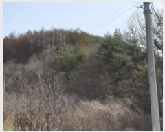  2024Ÿ��120 �泲 �Ծ籺 ���ϸ� �۰踮 ��141      ����(�Ӿ�)���