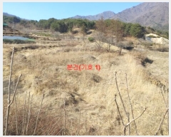  2024Ÿ��281 �泲 �Ծ籺 ����� �󳲸� 1323-1      ����(����)���