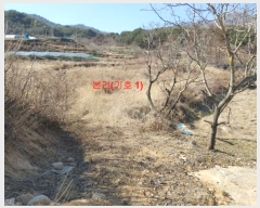  2024Ÿ��281 �泲 �Ծ籺 ����� �󳲸� 1323-1      ����(����)���