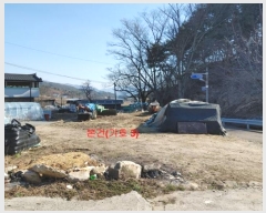  2024Ÿ��281 �泲 �Ծ籺 ����� �󳲸� 1323-1      ����(����)���