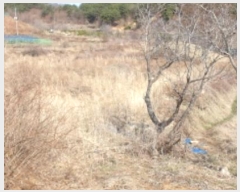  2024Ÿ��281 �泲 �Ծ籺 ����� �󳲸� 1323-1      ����(����)���