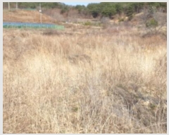  2024Ÿ��281 �泲 �Ծ籺 ����� �󳲸� 1323-1      ����(����)���