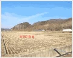  2024Ÿ922 泲 Ծ籺  鸮 250-3      ð