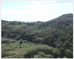  2024Ÿ1024 泲 õ  ⸮ 86      (Ӿ)