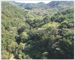  2024Ÿ1024 泲 õ  ⸮ 86      (Ӿ)