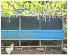  2024Ÿ1024 泲 õ  ⸮ 86      (Ӿ)