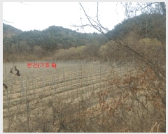  2024Ÿ1109 泲 â ϸ 긮 1135      (Ӿ)