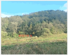  2024Ÿ1109 泲 â ϸ 긮 1135      (Ӿ)