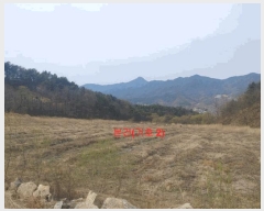  2024Ÿ1109 泲 â ϸ 긮 1135      (Ӿ)