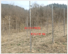  2024Ÿ1109 泲 â ϸ 긮 1135      (Ӿ)