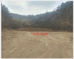  2024Ÿ1109 泲 â ϸ 긮 1135      (Ӿ)