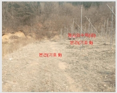  2024Ÿ1109 泲 â ϸ 긮 1135      (Ӿ)